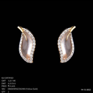 earrings 17